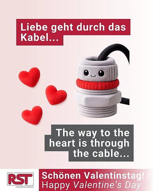 Wenn die Liebe durchs Kabel geht…

Wir wünschen Euch einen plüschigen Valentinstag!

RST – wir ❤️...